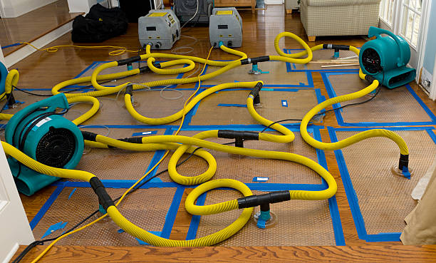 Professional Water Damage Repair technician working in Peck, MI