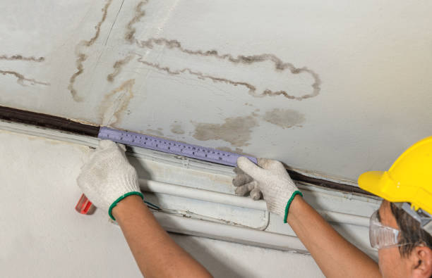 Affordable Water Damage Repair solutions in Peck, MI